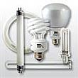 Fluorescent Lamps