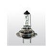 H7 Series Halogen Lamps/Bulbs